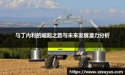 马丁内利的崛起之路与未来发展潜力分析